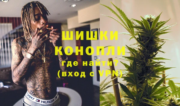 прущие грибы Армянск