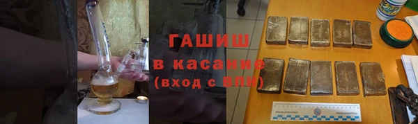 гашик Алексин