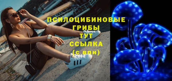 прущие грибы Армянск