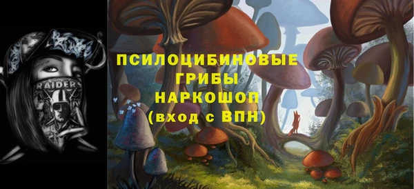 прущие грибы Армянск