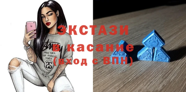 гашик Алексин